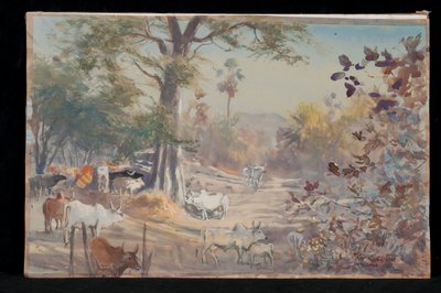 Ganado, Jambughoda, 2009 de Tim Scott Bolton